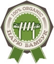 bamboo